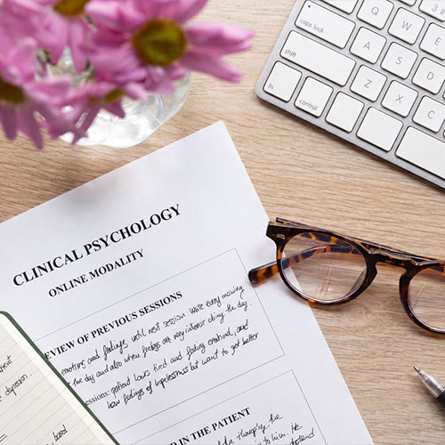 M.A. Executive Clinical Psychology at MGM University for Working Professionals