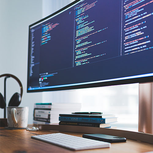 Software Developer/Engineer