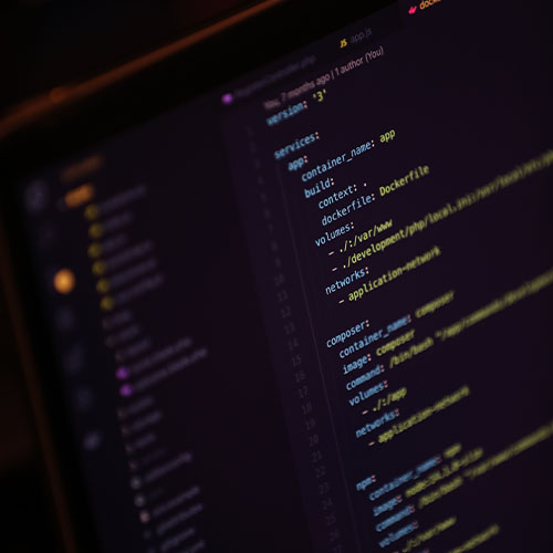 IT Consultant/Analyst