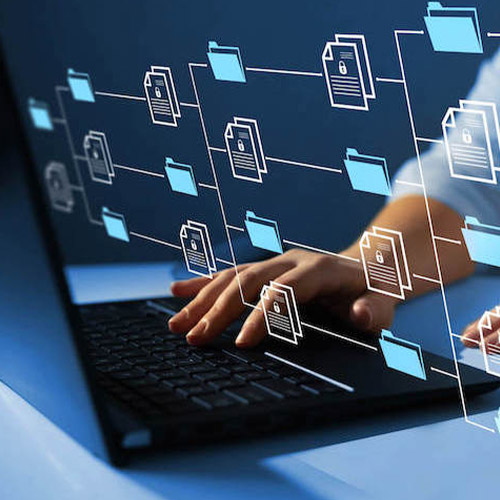 Database Administrator