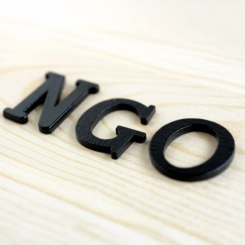 NGO/Nonprofit Manager