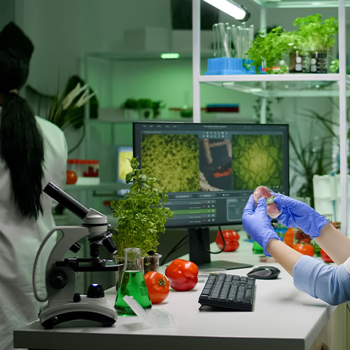 Food Scientist/Technologist