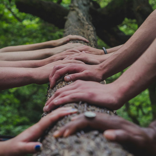 Social Worker/Counselor