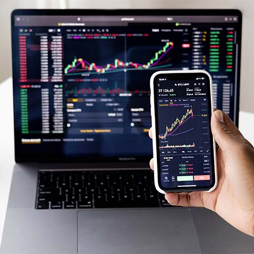 Financial Risk Manager/Analyst