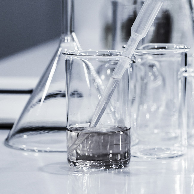 DSY Bachelor of Pharmacy