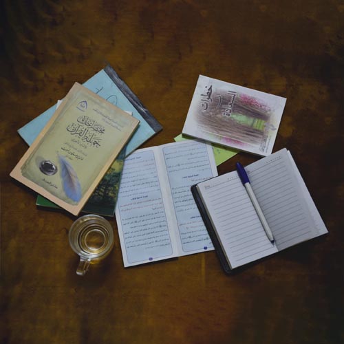 Urdu Linguistic Researcher