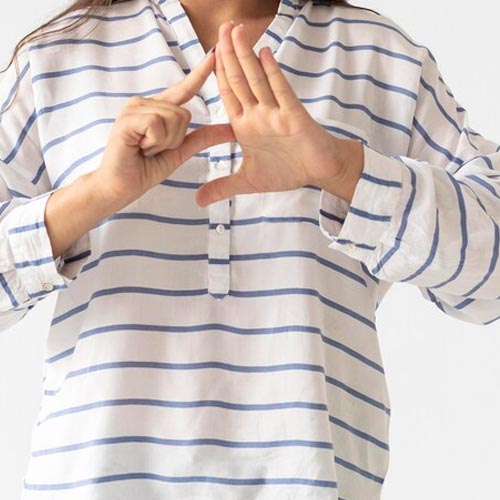 Japanese Interpreter