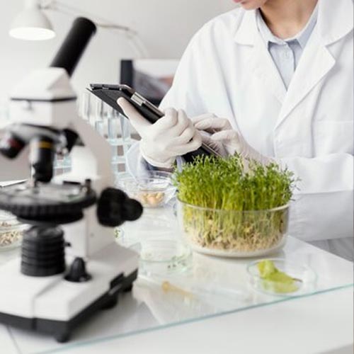 Environmental researcher