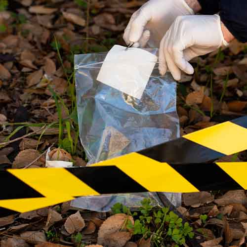 Crime scene investigator