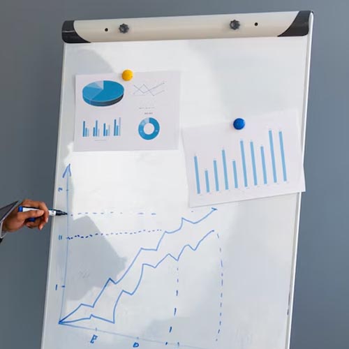 Professor/Researcher