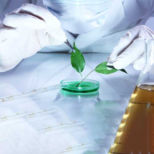 Environmental chemist