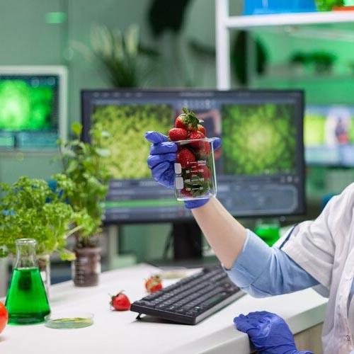 Food & Nutrition Research