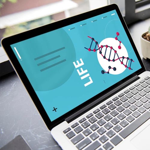 Biotech & Pharma Research