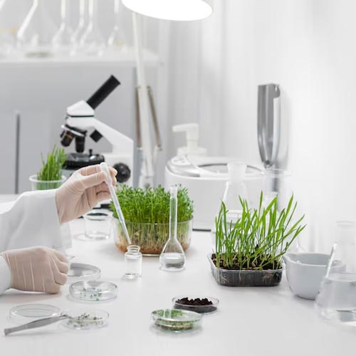 Environmental Biotechnology