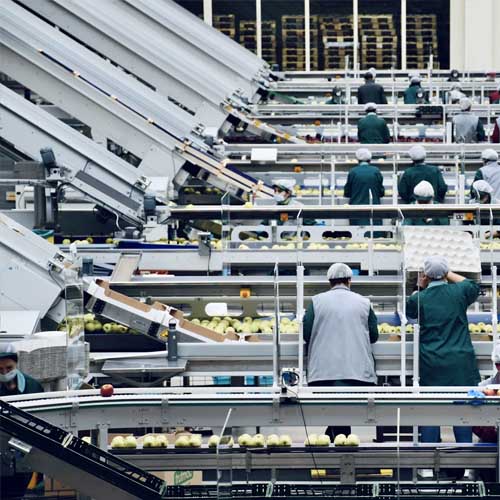 Food & Beverage Industry