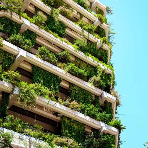 Bachelor of Architecture