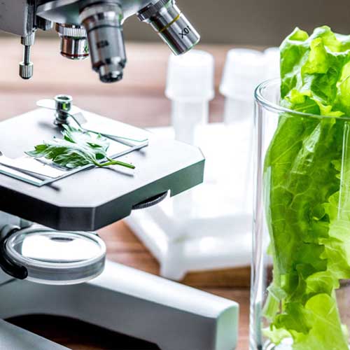 B. Tech. Food Processing Technology