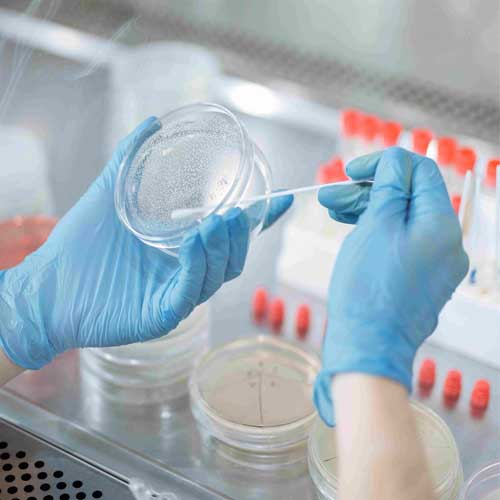 M Sc (Bioinformatics)