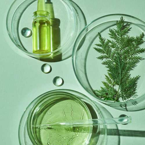 B.Tech. Cosmetic Technology