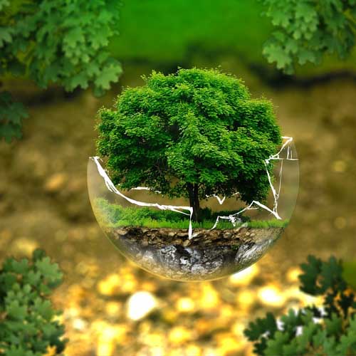 B.Sc. (Hon) Environmental Science