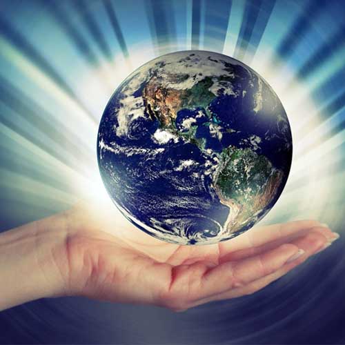 M.Sc. Environmental Science