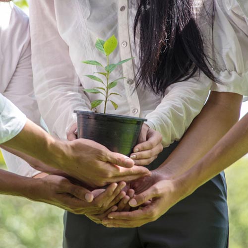 Master of Public Health