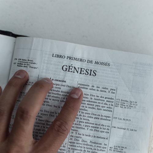 Certificate Prog. In Spanish