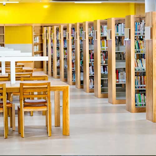 Master of Library & Info Science