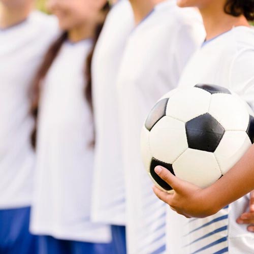 Team Dynamics Consultant