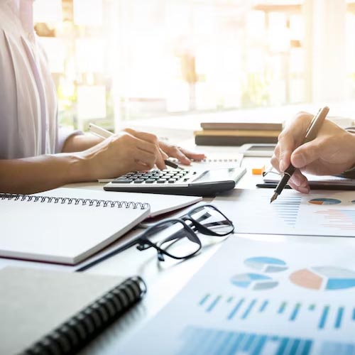 Financial Advisor /Consultant