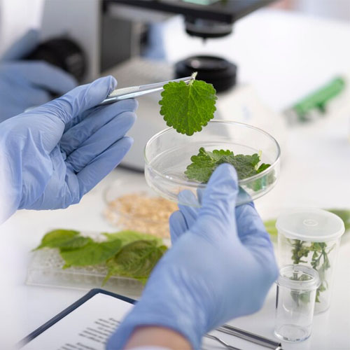 M.Tech (Food Technology)