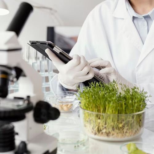 Biotechnology Engineer