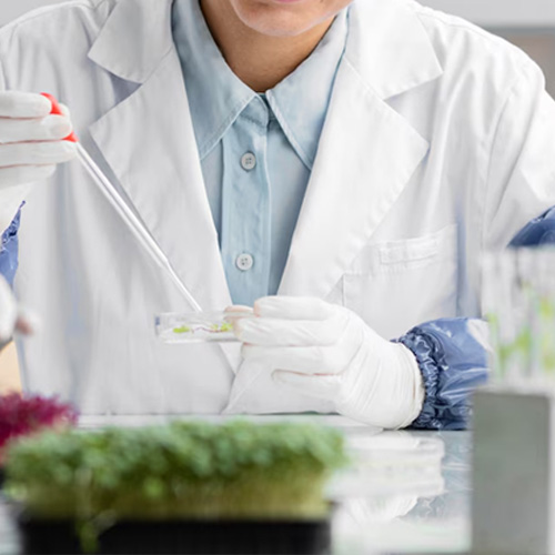 Quality Control Manager