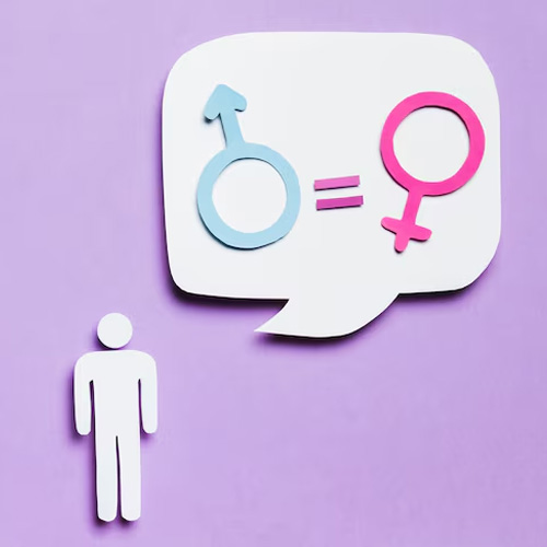 Gender Research Analyst