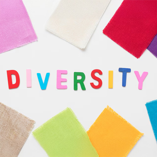 Diversity & Inclusion Off