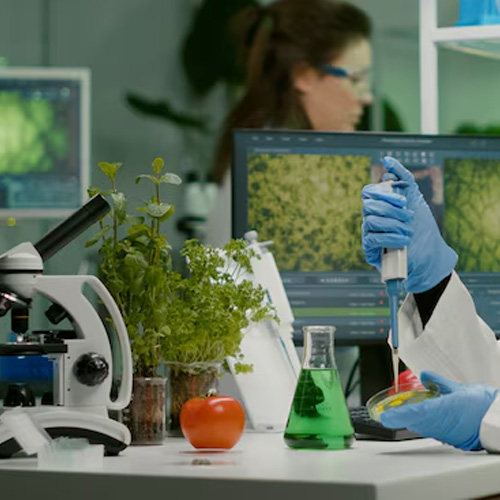 Biotechnology Engineer