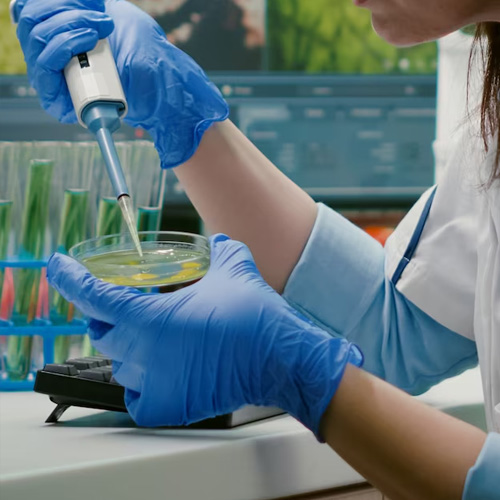 Computational Biologist