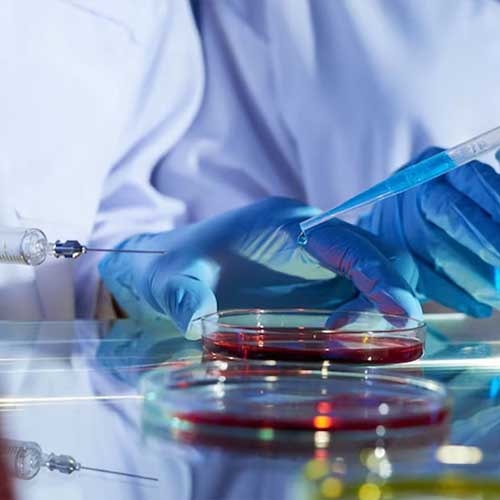 Ph.D. in Pharmaceutical Science