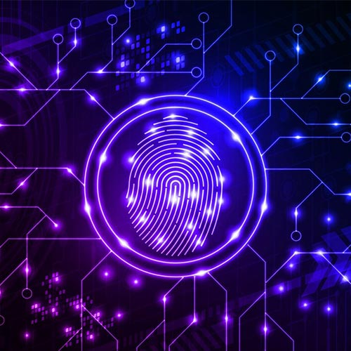 M.Sc. (Digital & Cyber Forensics)